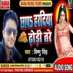 Chapa Haradiya Dhori  tara