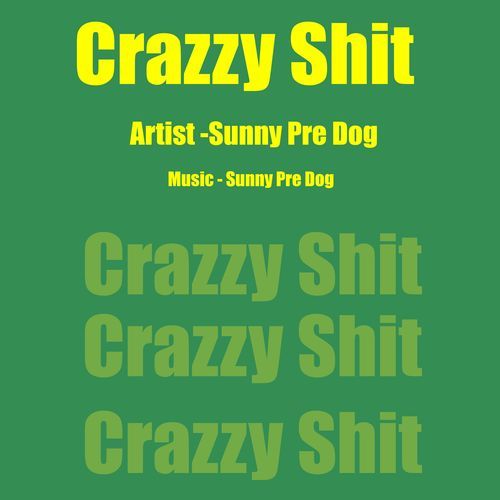 Crazzy Shit Songs Download - Free Online Songs @ JioSaavn