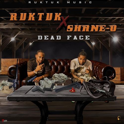 Dead Face (feat. Shane O)_poster_image