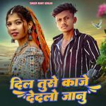 Dil Tuse Kaje Dedlo Janu