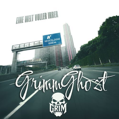 Eine Welt Voller Irrer cover art