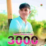 Gadhi Dole CI KI 3000