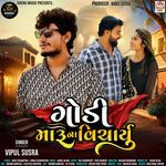 Godi Maru Na Vicharyu