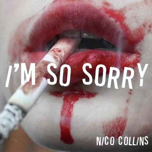 I'm so Sorry_poster_image