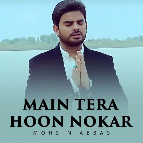 Main Tera Hoon Nokar