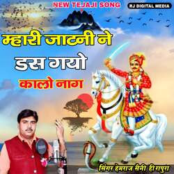 Mari jaatni Ne Dasgo Kalo nag