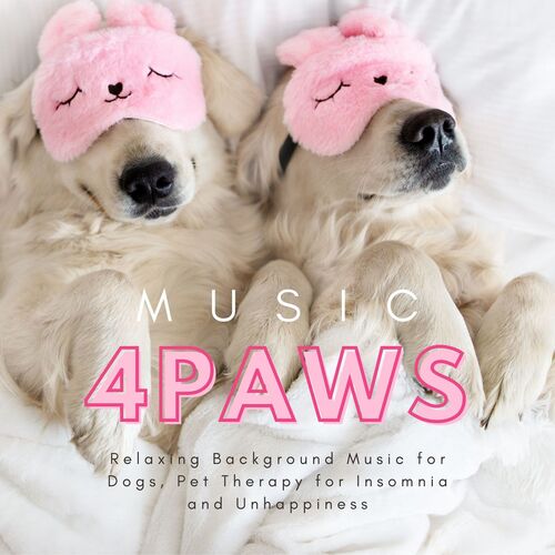 Dog Whisper cover art
