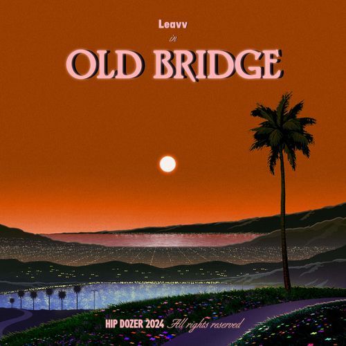 Old Bridge_poster_image