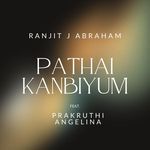 Pathai Kanbiyum