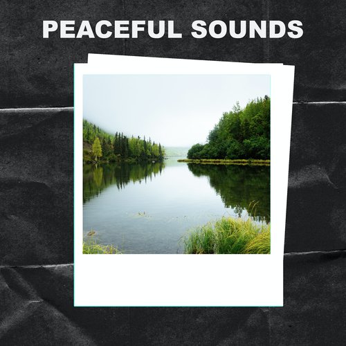Peaceful Sounds cover art