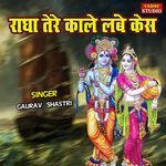 Radha Tere Kale Lambe Kesh