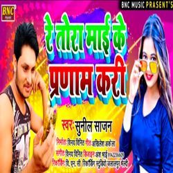 Re Tora Mai Ke Pranam Kari