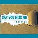 Say You Miss Me