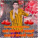 Tari mohbbat me padwadi ujadgi zindagi mhari