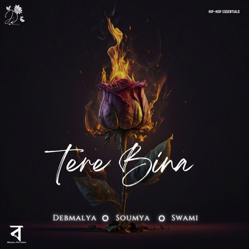 Tere Bina