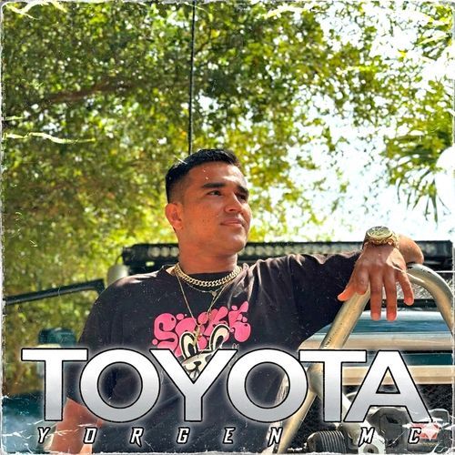 Toyota cover art