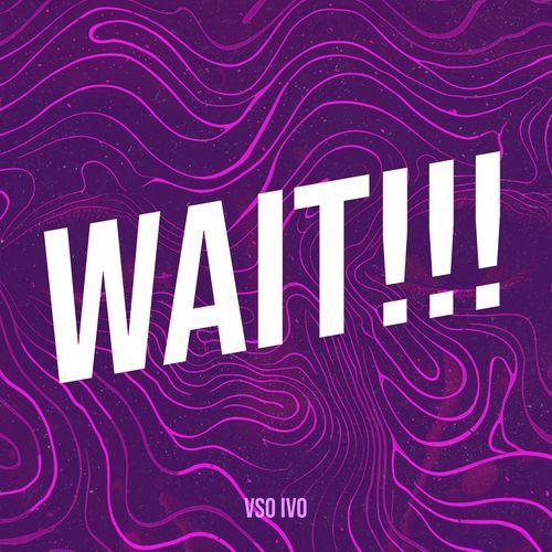 Wait!!! cover art