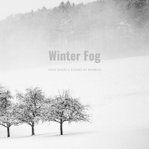 Winter Fog