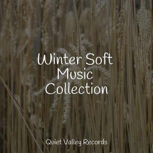 Winter Soft Music Collection