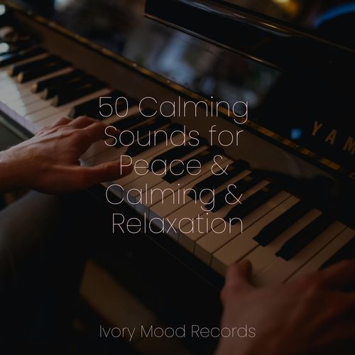 50 Calming Sounds for Peace & Calming & Relaxation