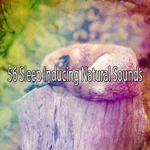 56 Sleep Inducing Natural Sounds