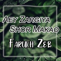 Aey Zargiya Shor Makao-JyIjc0ZmXnk