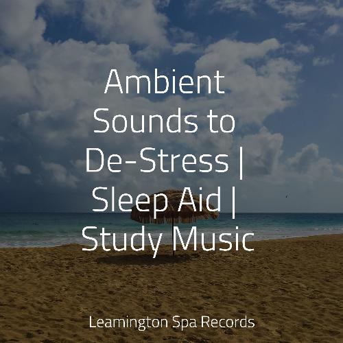 Ambient Sounds to De-Stress | Sleep Aid | Study Music