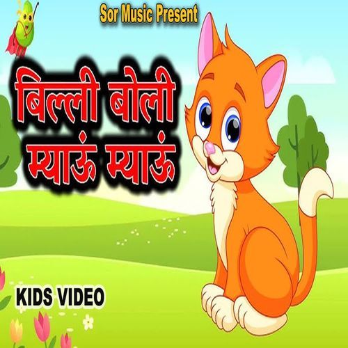 Billi Boli Meow Meow