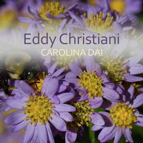 Eddy Christiani