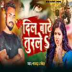 Dil Bate Turale