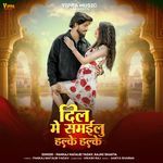 Dil Me Samailu Halke Halke