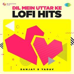 Dil Mein Uttar Ke Lofi Hits