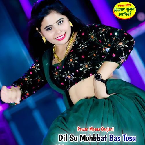 Dil Su Mohbbat Bas Tosu Chh