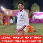 FULL GUNDA GARDI SONG (Rajsthani)