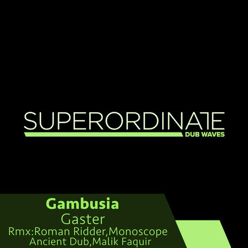 Gaster (Monoscope Rmx) cover art