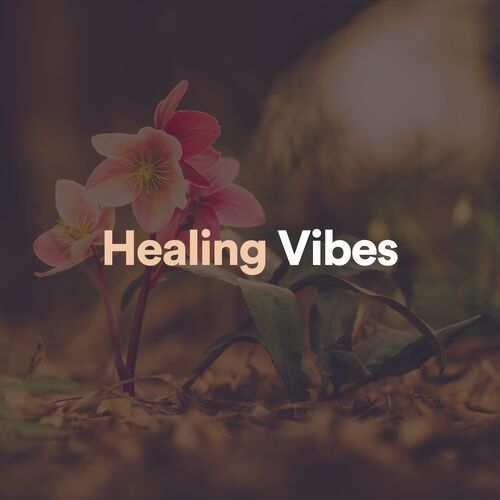 Healing Vibes_poster_image