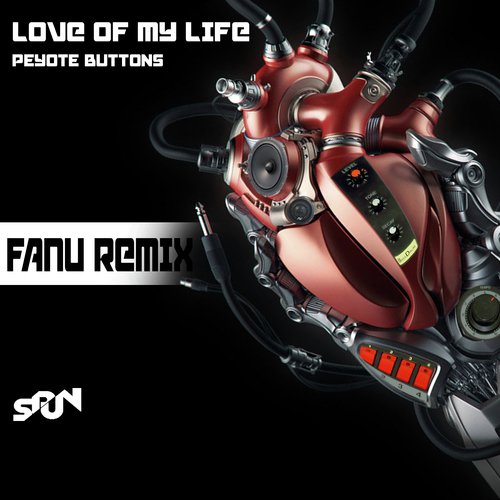 LOVE OF MY LIFE (FANU REMIX) cover art