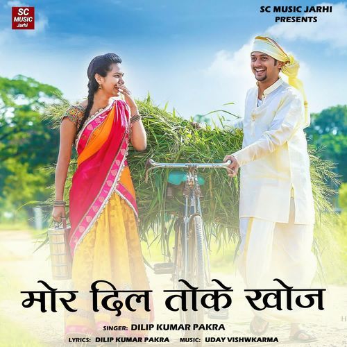 Mor Dil Toke Khoje