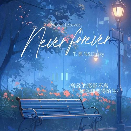 Never Forever_poster_image