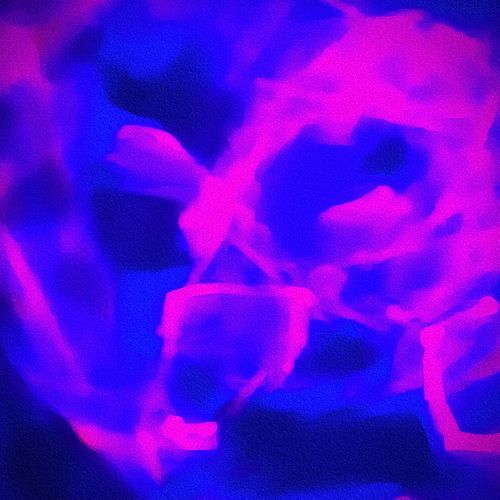 Night Euphoria cover art