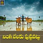 Ningi Nelaku Puttinattu