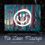 No Love Mashup