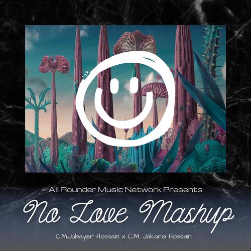 No Love Mashup