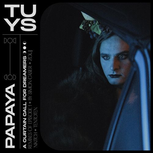 Papaya (Nikitch Remix) cover art