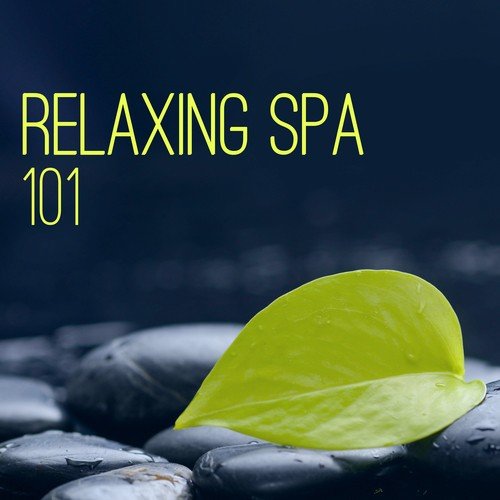 Relaxing Spa Atmosphere - Calming Music Therapy with Isochronic Tones, Sounds of Nature for Relaxation, Mindfulness Meditation, Tantra, Yoga & Deep Sleep