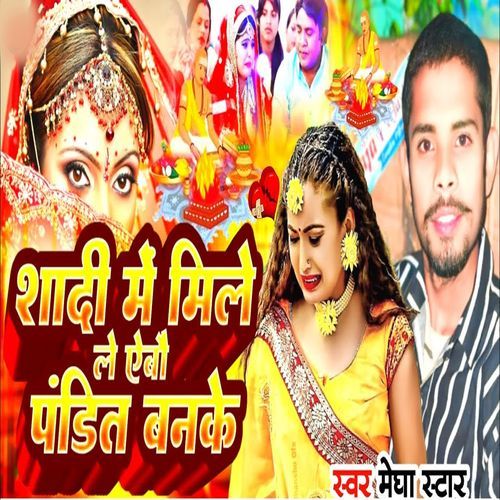 Sadi Me Mile Le Aebo Pandit Banake