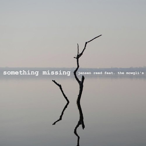 Something Missing (feat. The Mowgli's) cover art