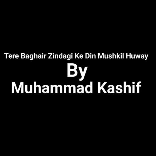 Tere Baghair Zindagi Ke Din Mushkil Huway