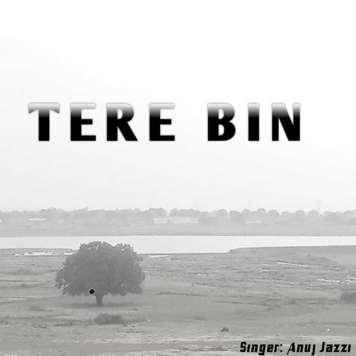 Tere Bin