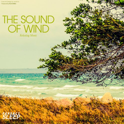 The Sound of Wind